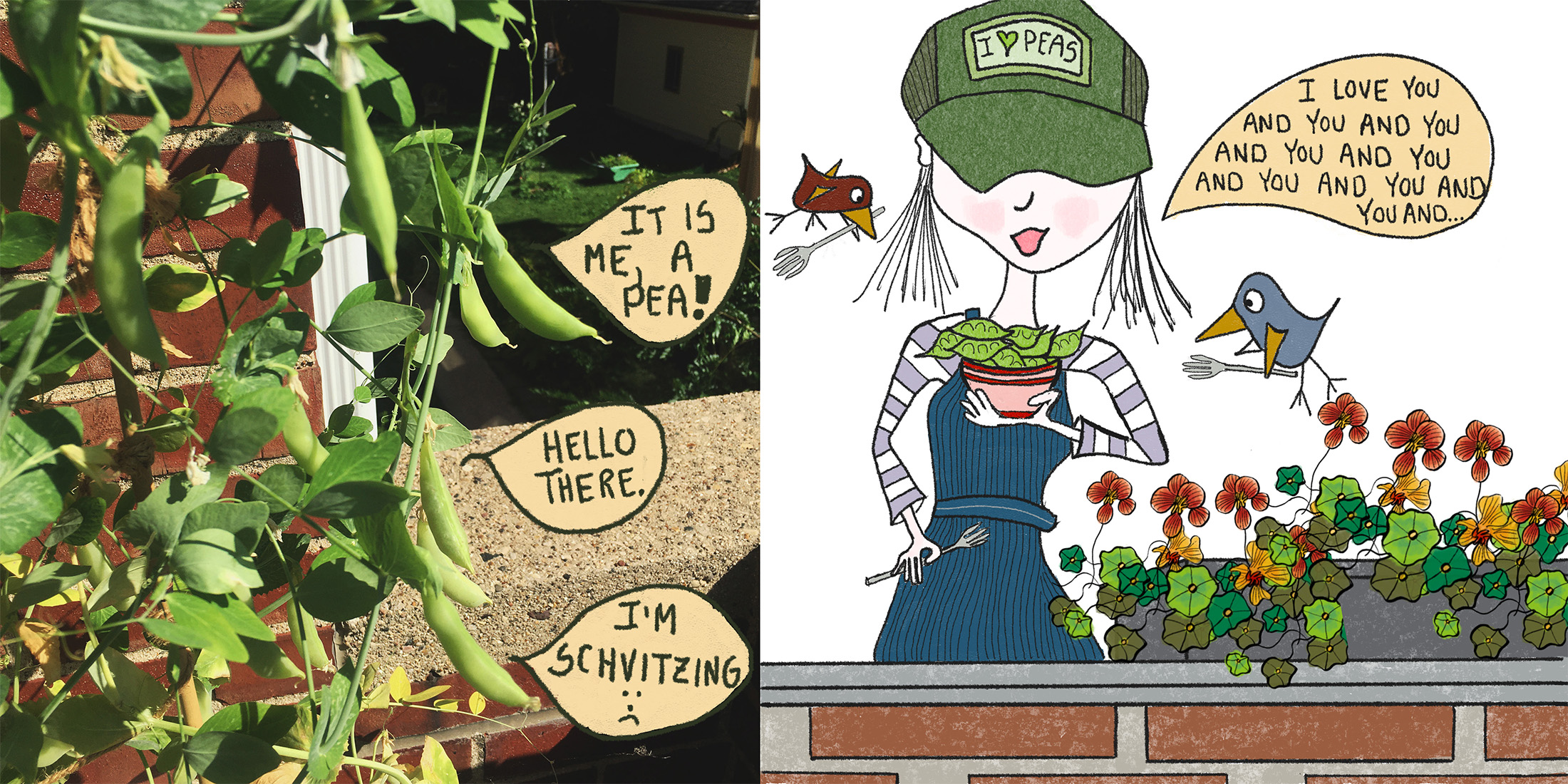 A photo of peas growing on a vine sits next to a cartoon of a woman eating peas