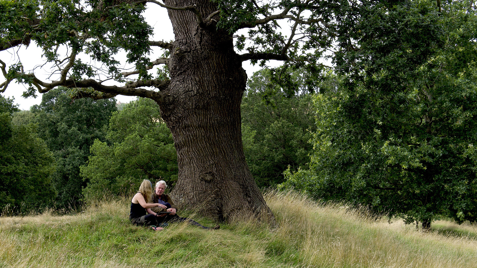 A man and woman sit under a tree. 
