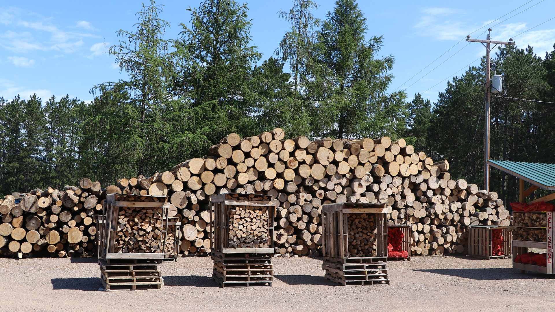 A large stacked pile of cut logs stands at the edge of a gravel parking lot, with trees and and electrical pole standing in the background.