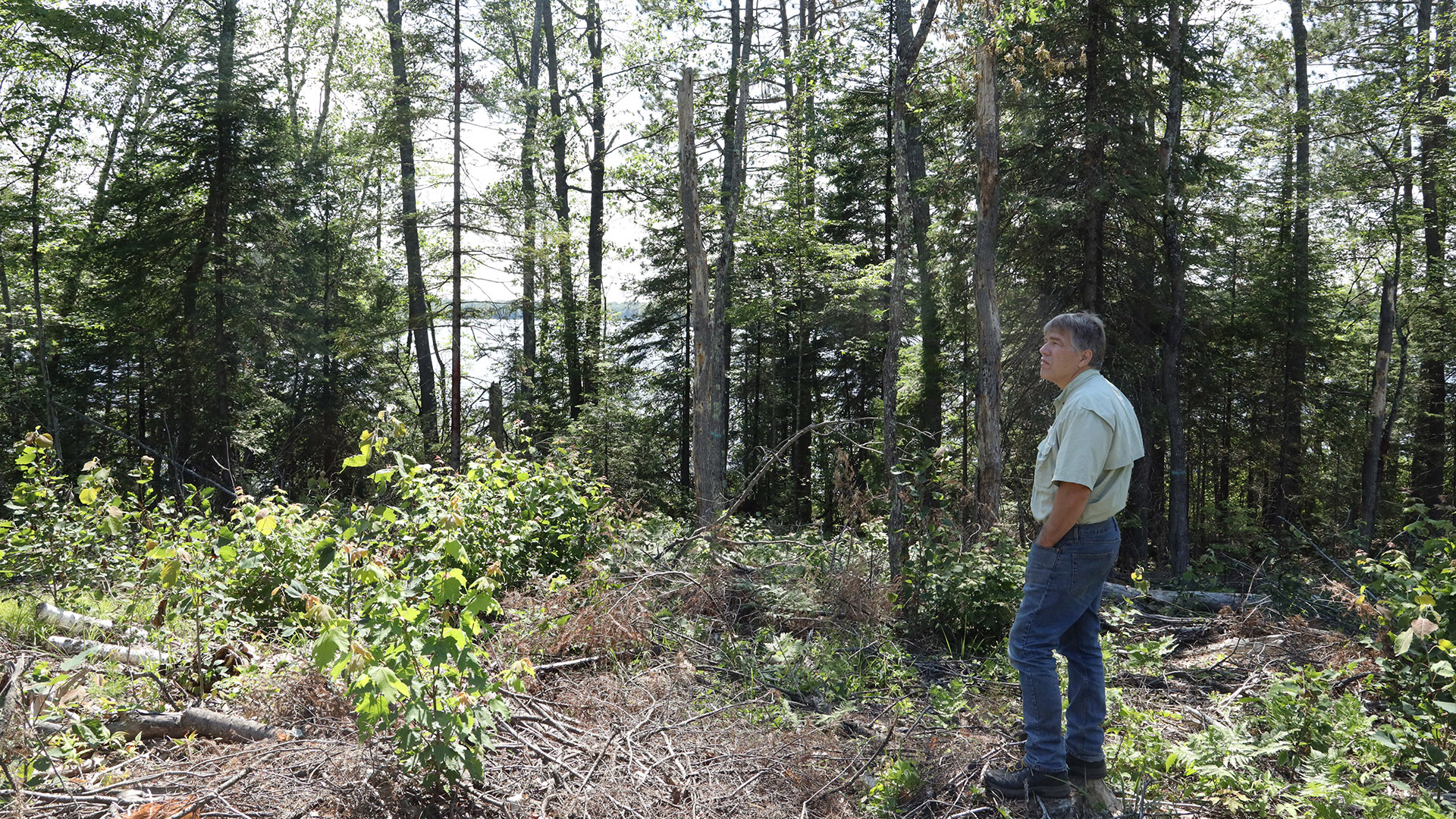 John Schwarzman stands among logging slash with trees standing in the background and the surface of a lake in the far background.