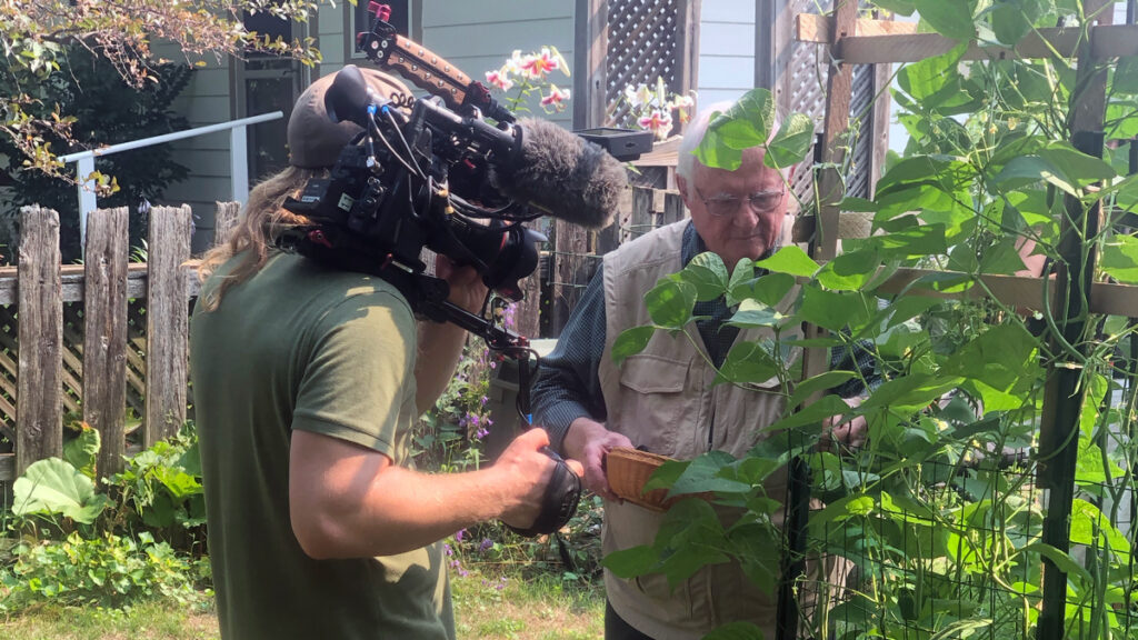 A camera man captures Jerry Apps harvesting green beans from his backyard garden.