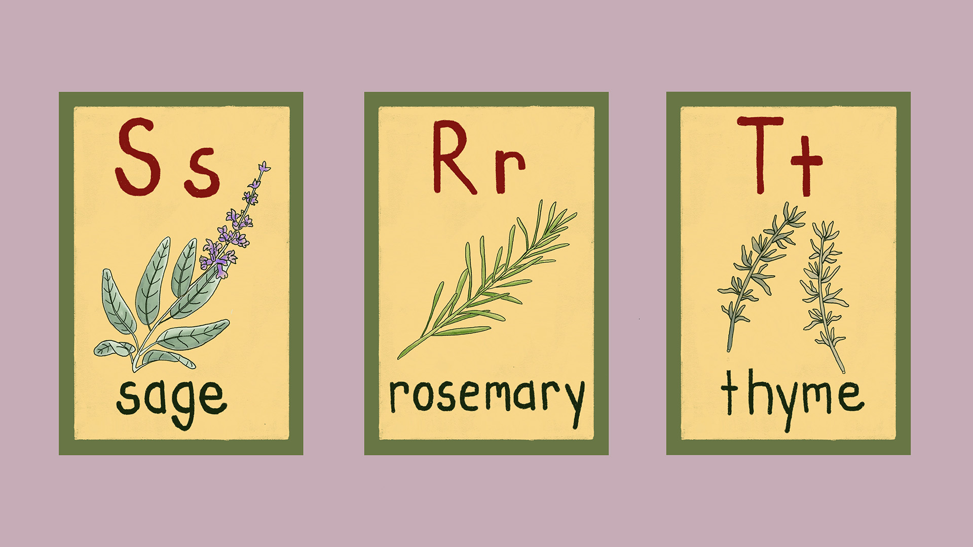 An illustration of 3 school flashcards showing sage, rosemary and thyme