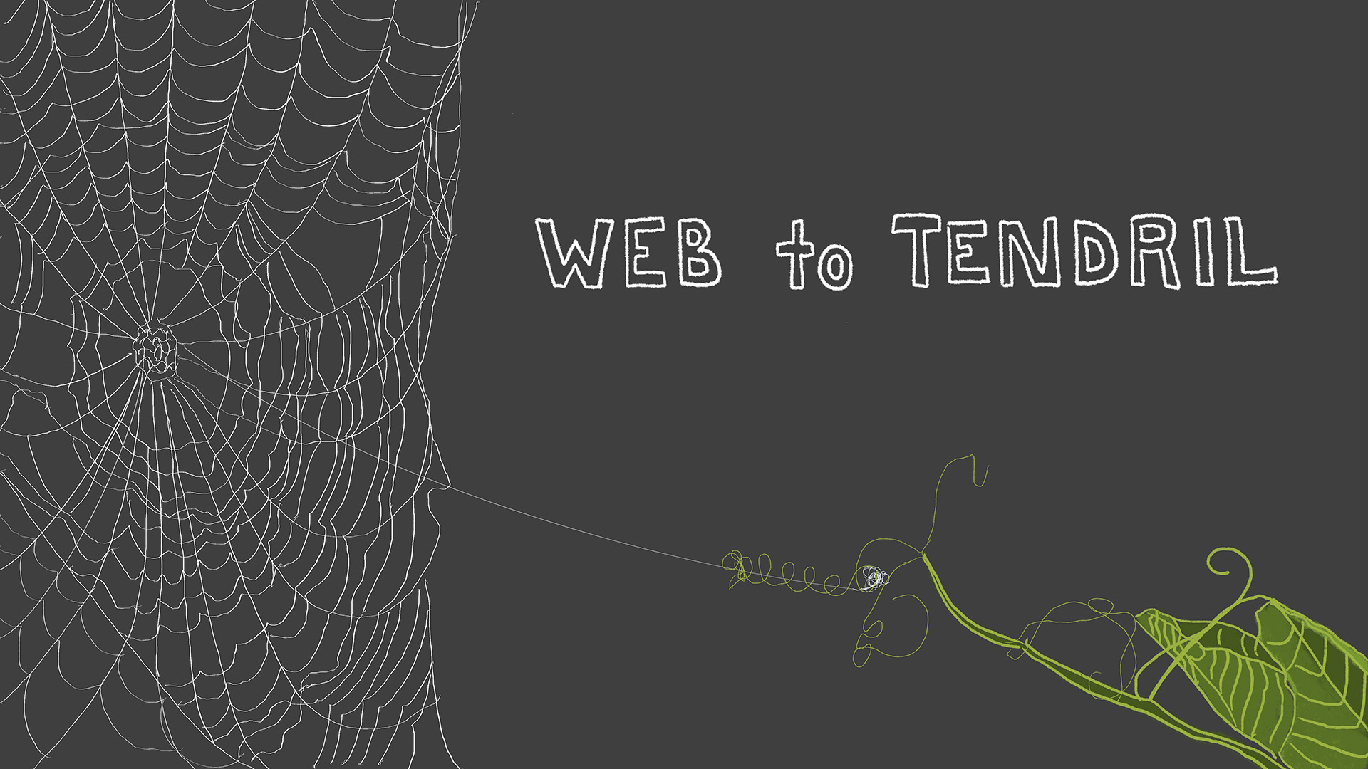 An illustration of a spider web clinging to the tendril of a pea vine