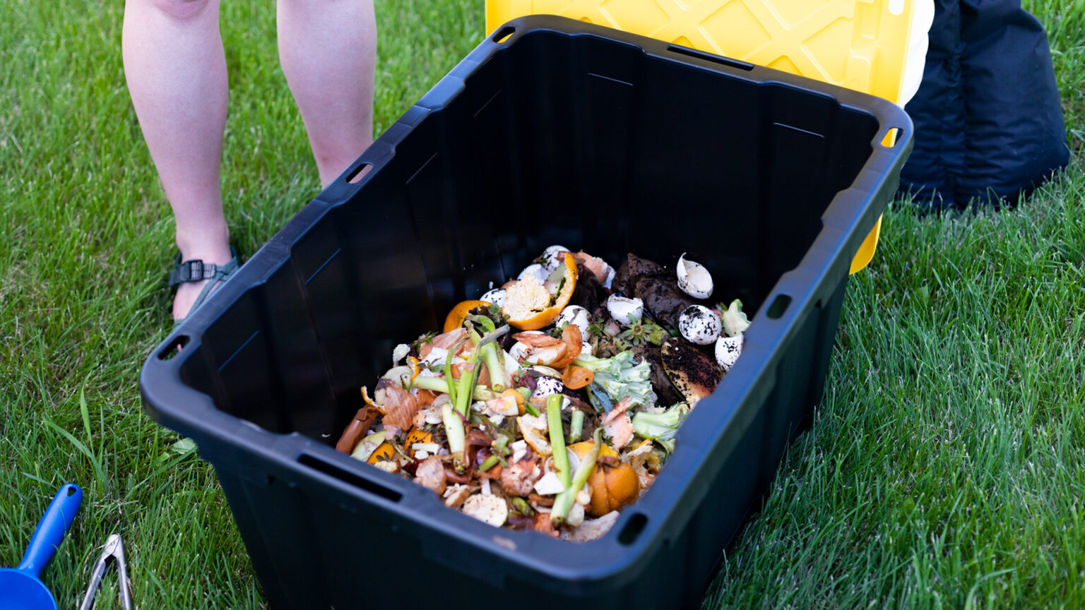 A plastic storage container partially filled with scraps of discarded food sits on a lawn.
