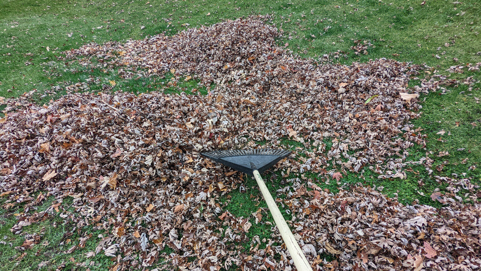 This plastic sheet keeps the bag open for you when you rake leaves