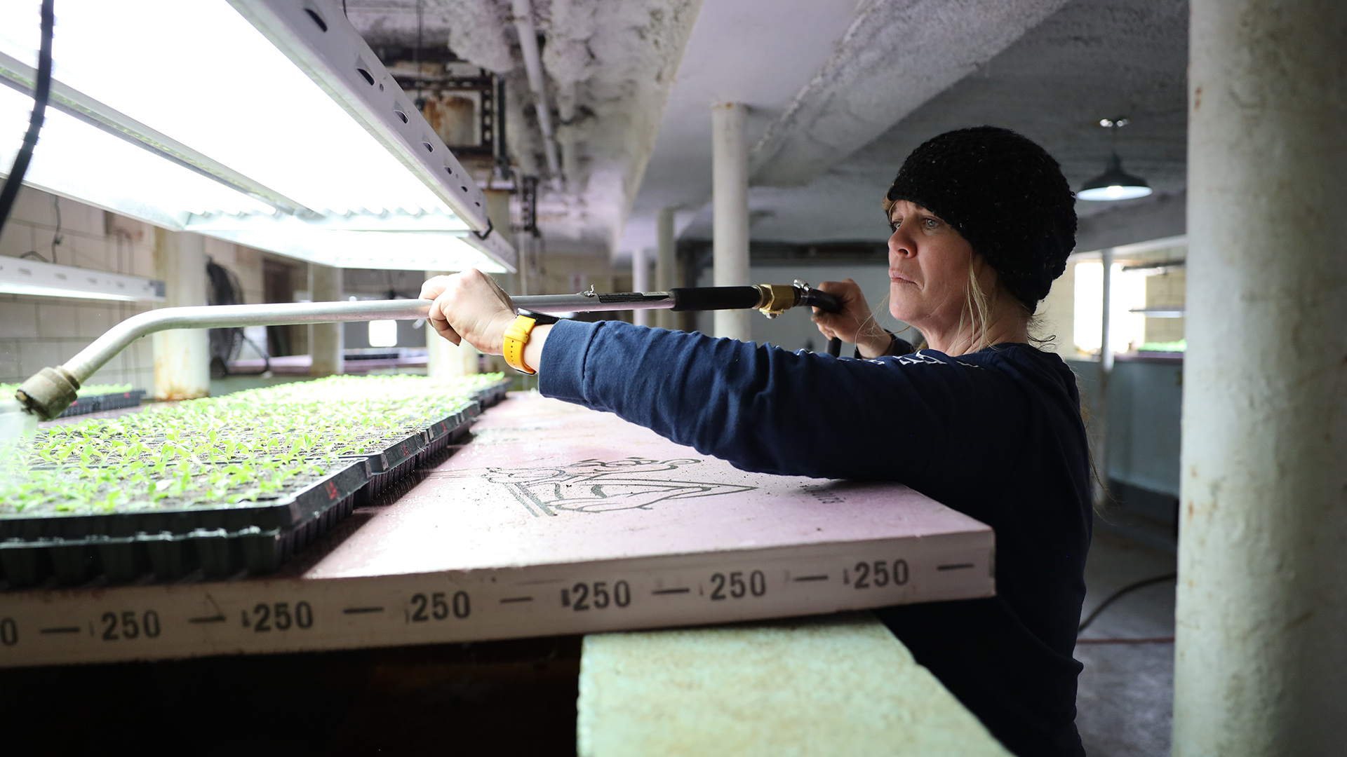 Sarah Bressler uses a watering wand connected to a hose to water seedlings growing in starter trays under full-spectrum lights on a platform inside a room with concrete floors, walls and pillars.