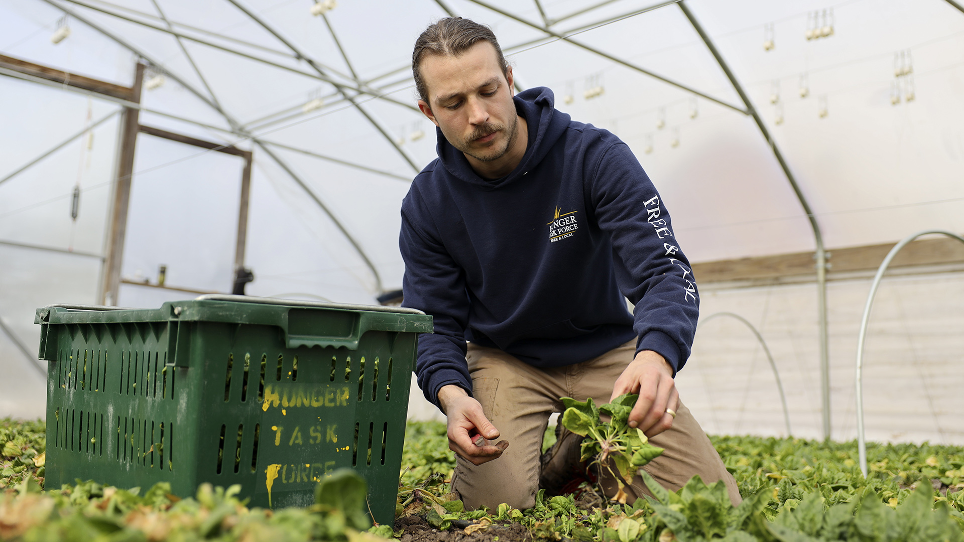 Jordan Leitnes pulls a spinach plant from the ground while kneeling next to a plastic crate with metal handles and a stencil label reading "Hunger Task Force" inside a hoop house with a wood-and-metal frame and plastic walls and roof.