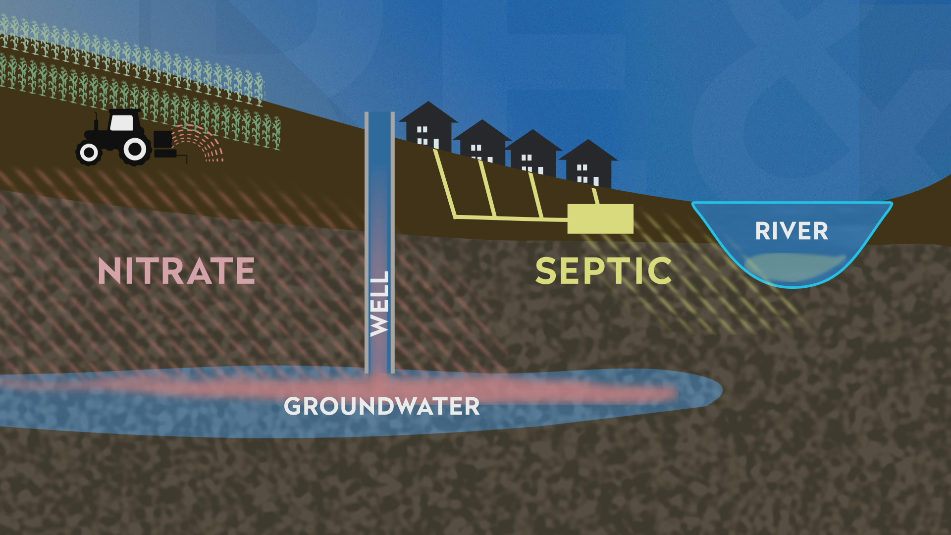 An illustration nitrates from manure and septic systems interacting with soil, groundwater and surface water.
