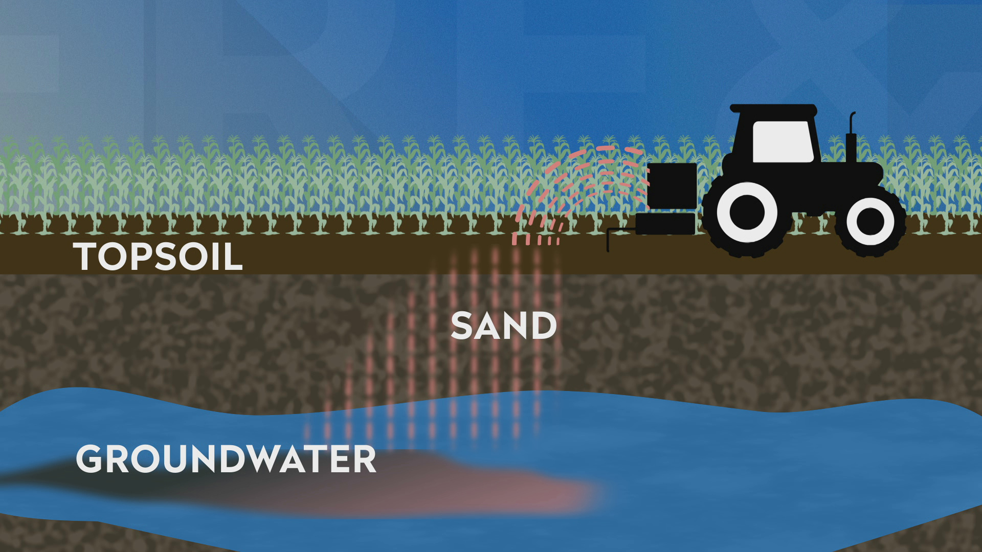 An illustration shows a stylized tractor on a corn field with a stratified view showing how nitrate relates to layers of topsoil, sand and groundwater — there is nitrate in the groundwater.