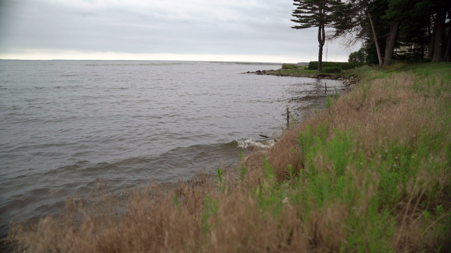 Low waves of a large lake roll into a narrow stone and turf beach, with trees and a lawn along the lakeshore in the background.