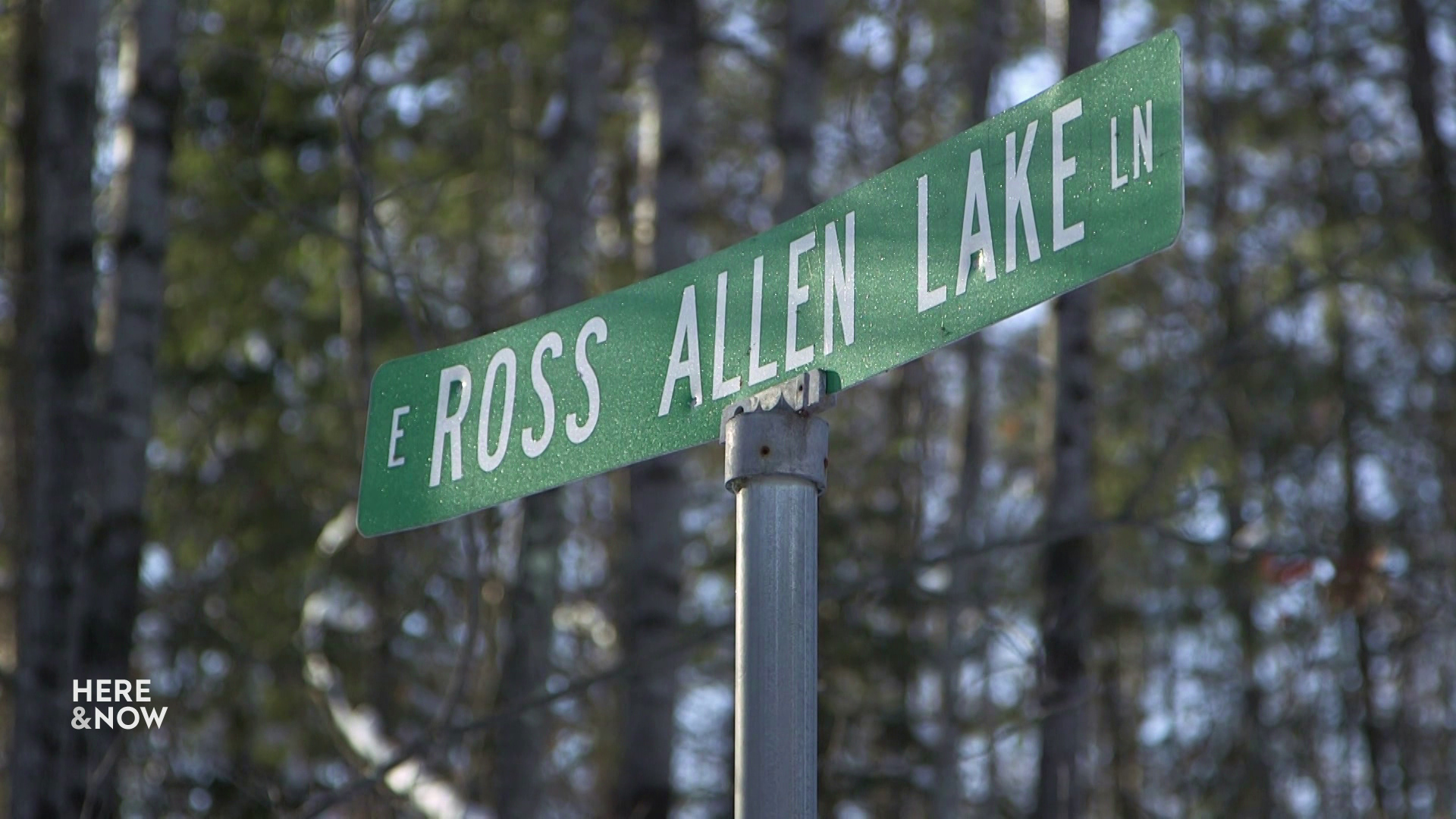 A street sign reads "E. Ross Allen Lake Ln." in front of trees.