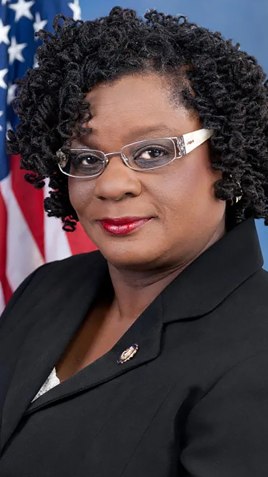 Gwen Moore poses for a portrait with a U.S. flag in the background.