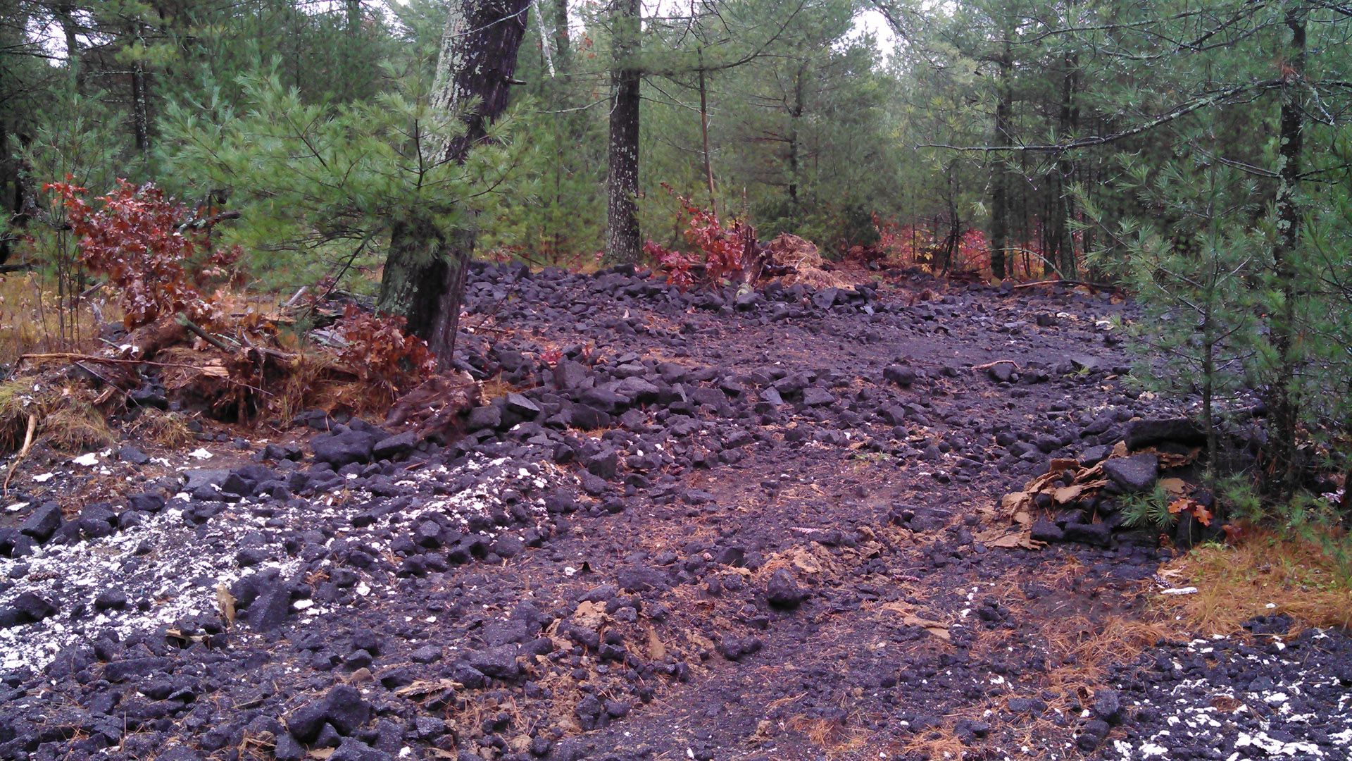 A layer of granular debris of different sizes is strewn about a clearing in a wooded area.