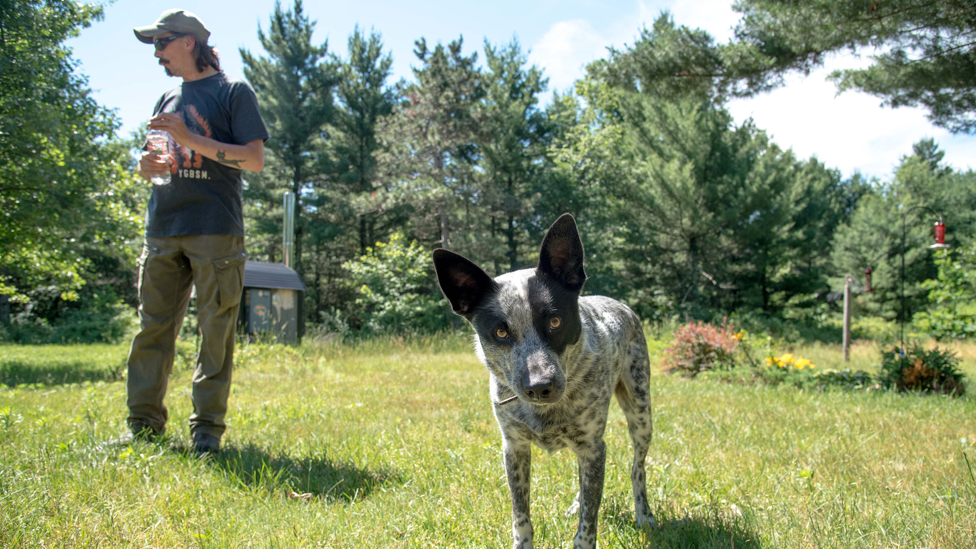 A dog looks into a camera while Zach Skrede stands behind him in a forest clearing, with a small structure and trees in the background.