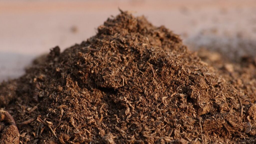 pile of sphagnum peat moss
