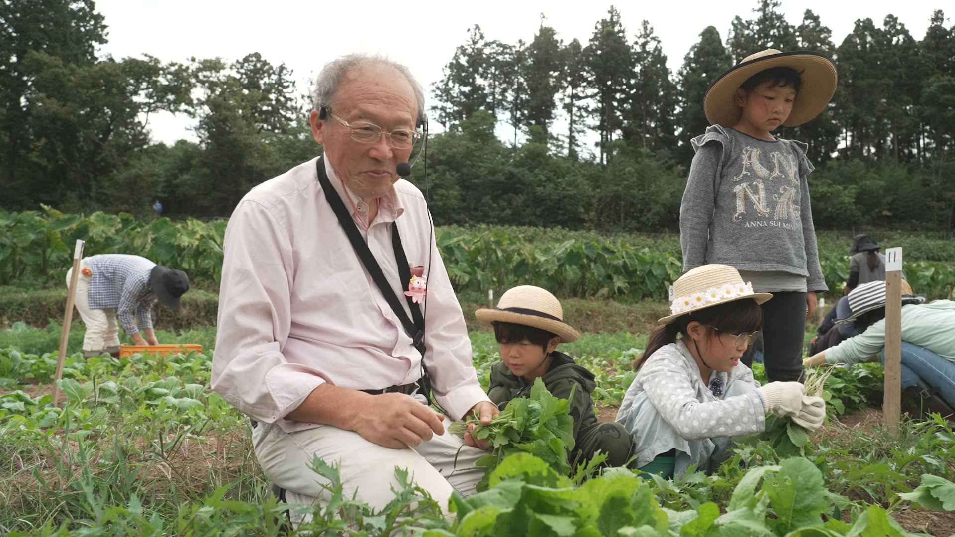 Elder man and young children in a field of crops.
