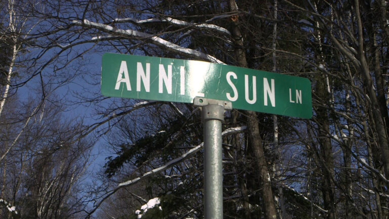 Sunshine glares on a street sign that reads Annie Sun Ln. in front of trees.