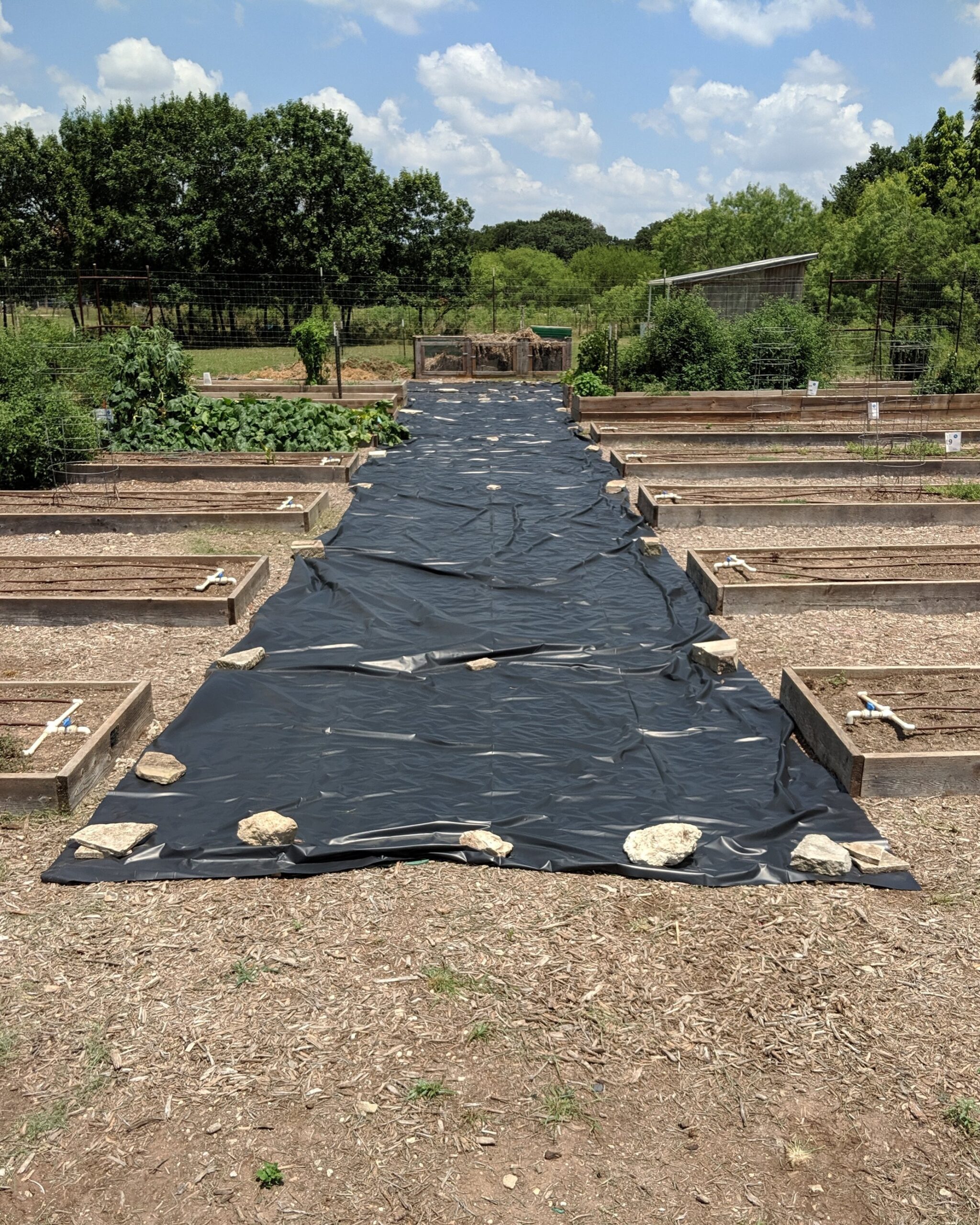 Large black plastic tarps spread out in a garden bed. 