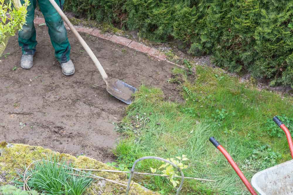 Person using shovel to dig up turf and grass for complete removal