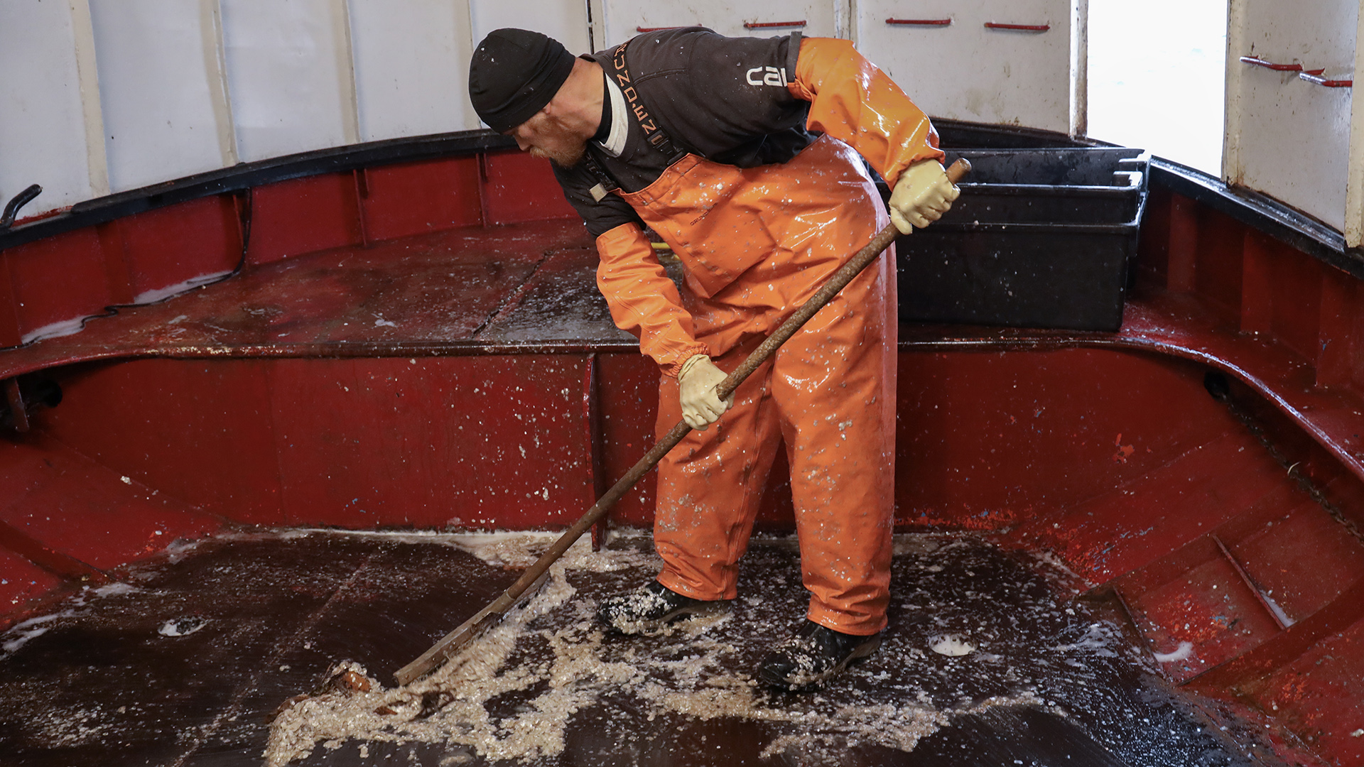 Hunter Gordon uses a mob to swab fish scales from the floor of a fishing boat.