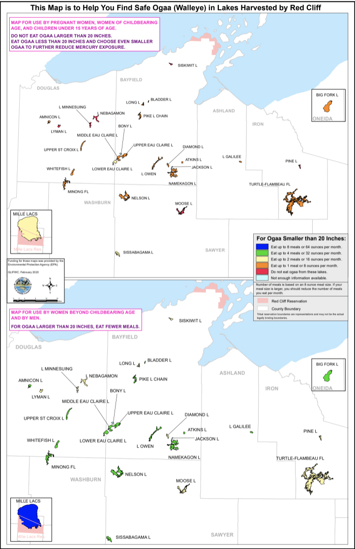 A set of two stacked maps with the title "This Map is to Help You Find Safe Ogaa (Walleye) in Lakes Harvested by Red Cliff" shows fish consumption advisories levels for locations in Douglas, Bayfield, Ashland, Iron, Washburn and Sawyer counties.