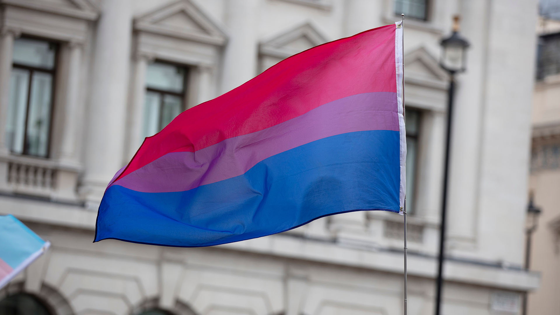 A bisexual flag is waved in the air at a pride event