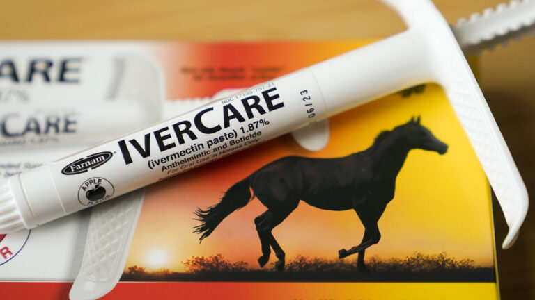 A plastic oral syringe labeled with the brand name IverCare is placed on top of a box for the drug decorated with an image of a horse.