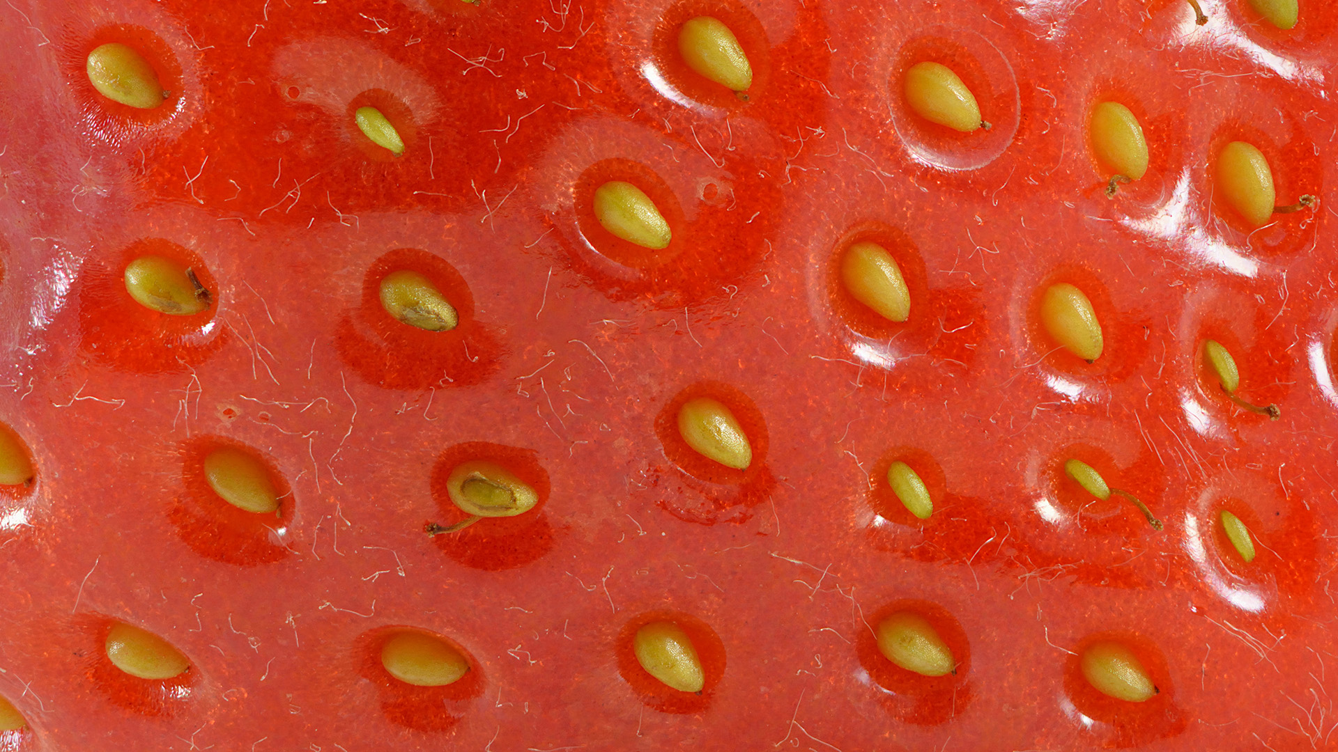 Close-up image of strawberry