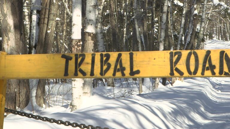 A wood road barrier with tribal road painted on it and a metal chain hanging underneath are placed in front of a road covered in snow, with trees in the background.
