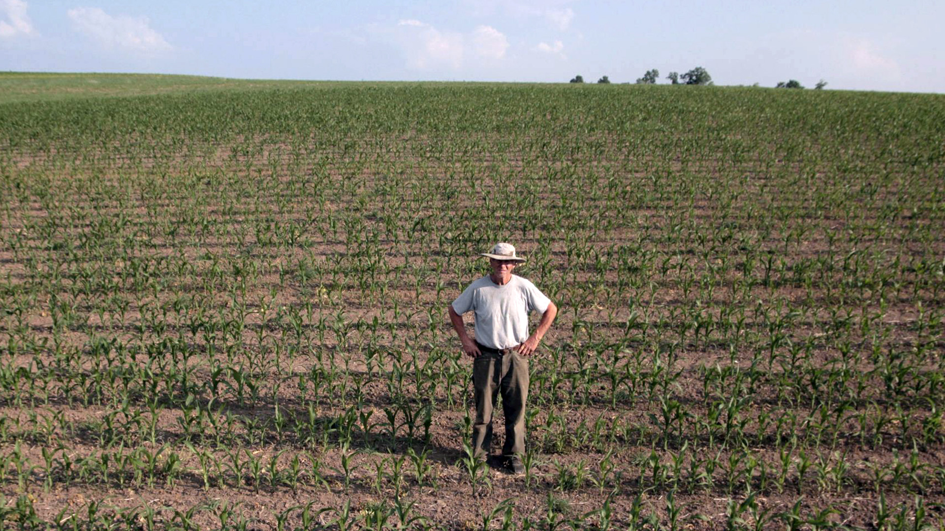 Nick Stanek stands among rows of low crops in a hillside field, with the tops of trees visible on the horizon.
