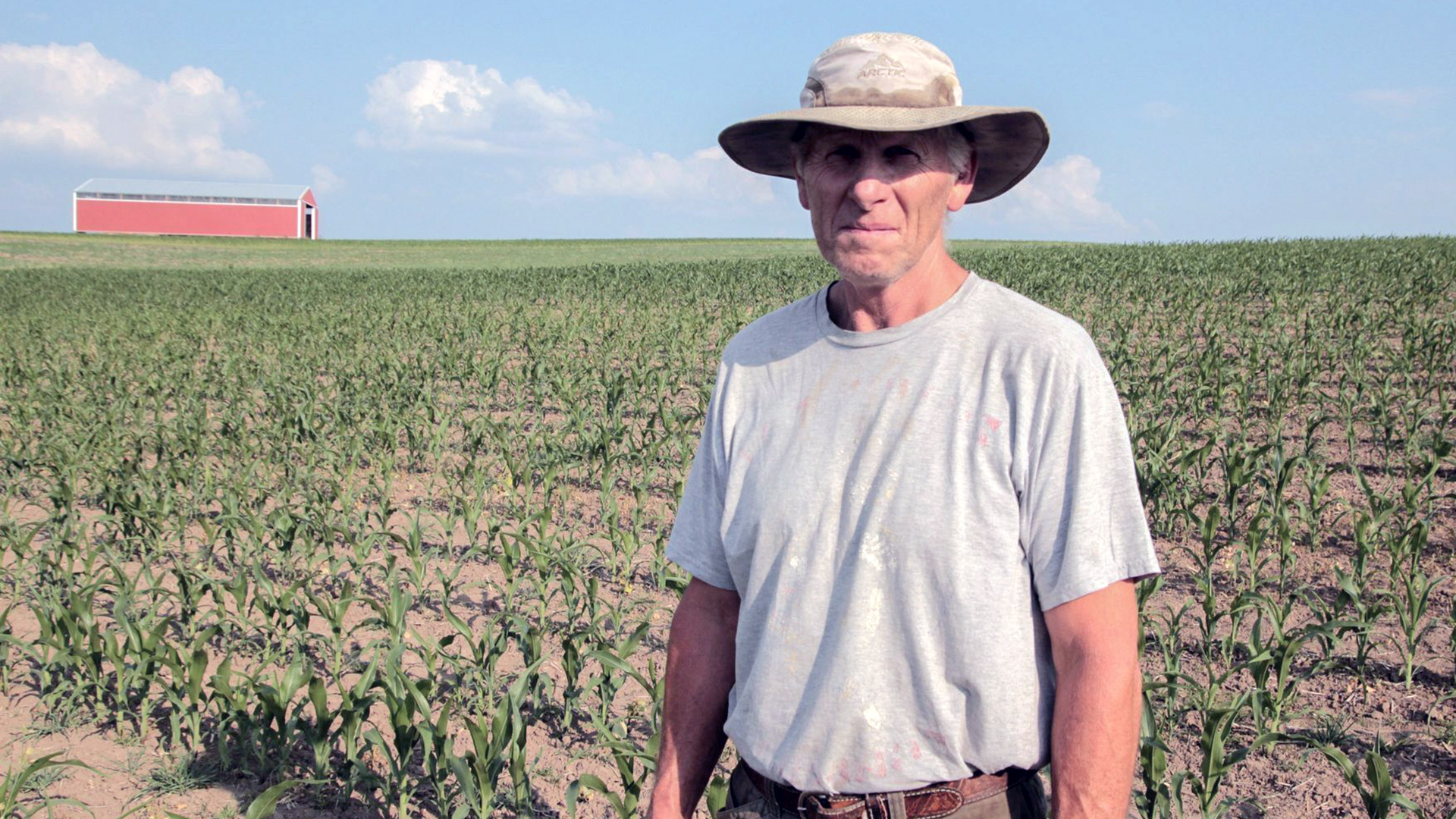 Nick Stanek stands among rows of low crops in a hillside field, with a farm building visible on the horizon.