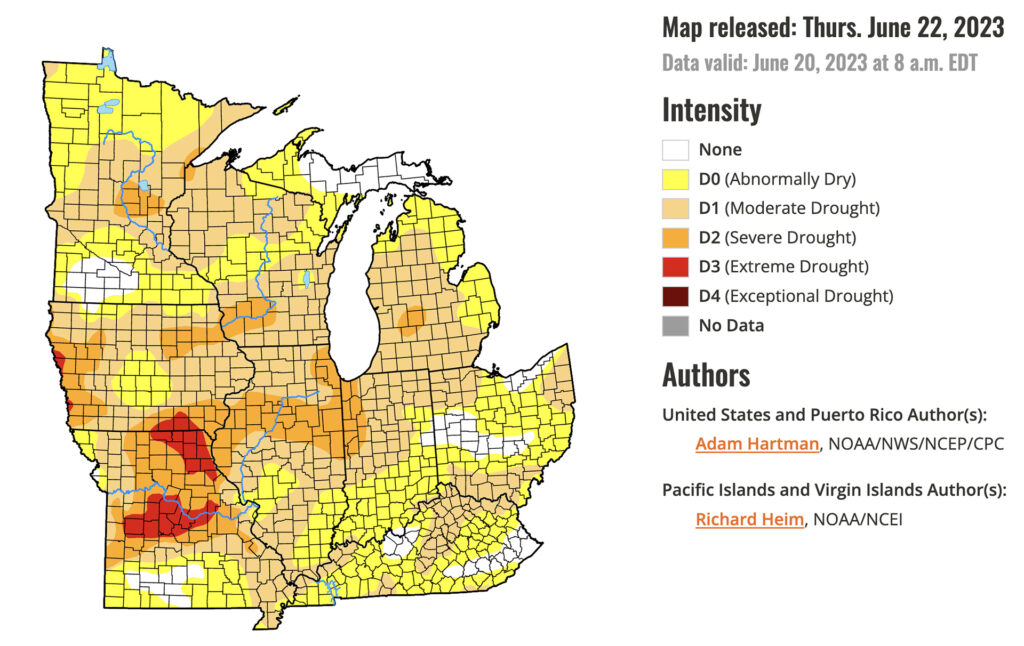 Corn and soybeans suffer as forecasters expect no quick drought relief