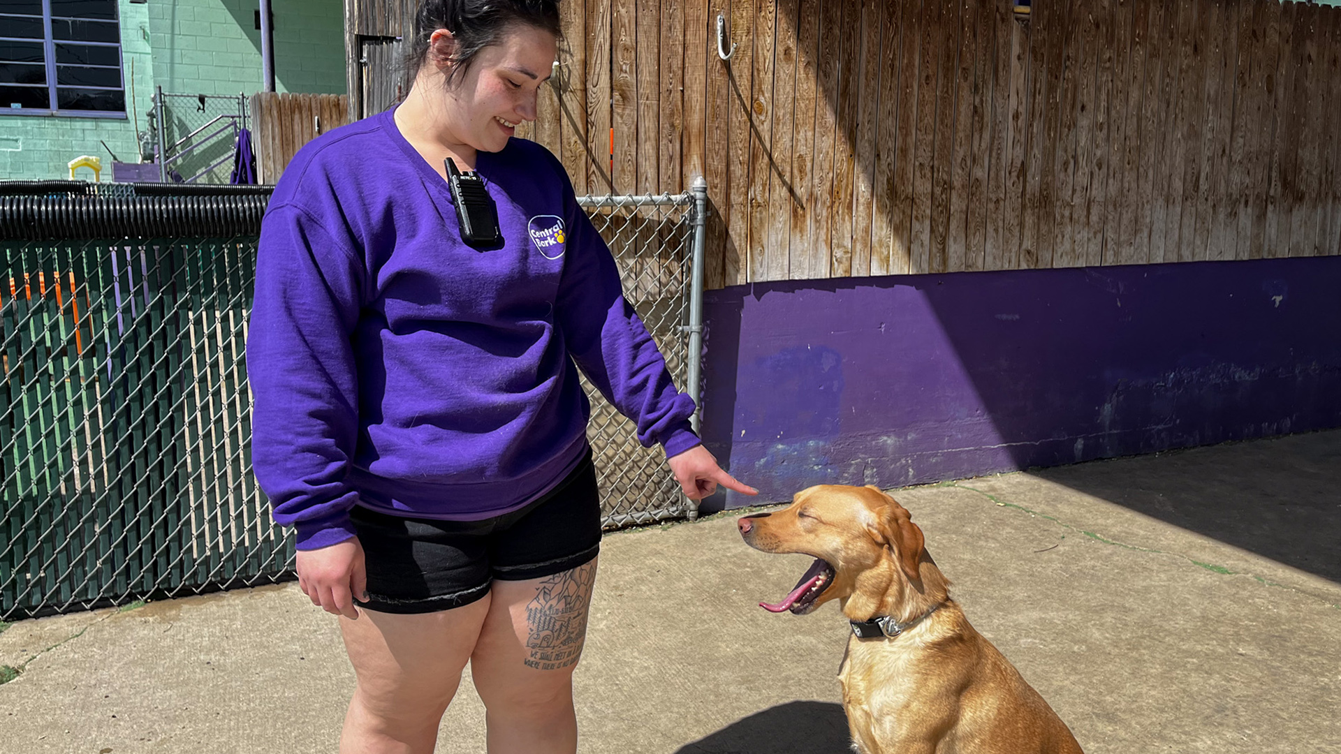 Alayna Kohloff stands and points her left index finger toward the snout of a sitting dog on an outdoor concrete patio, with a chain-link fence and wood wall in the background.