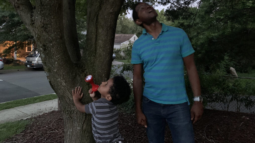 A father and sun are exploring their front yard after dark with the aid of a flashlight.