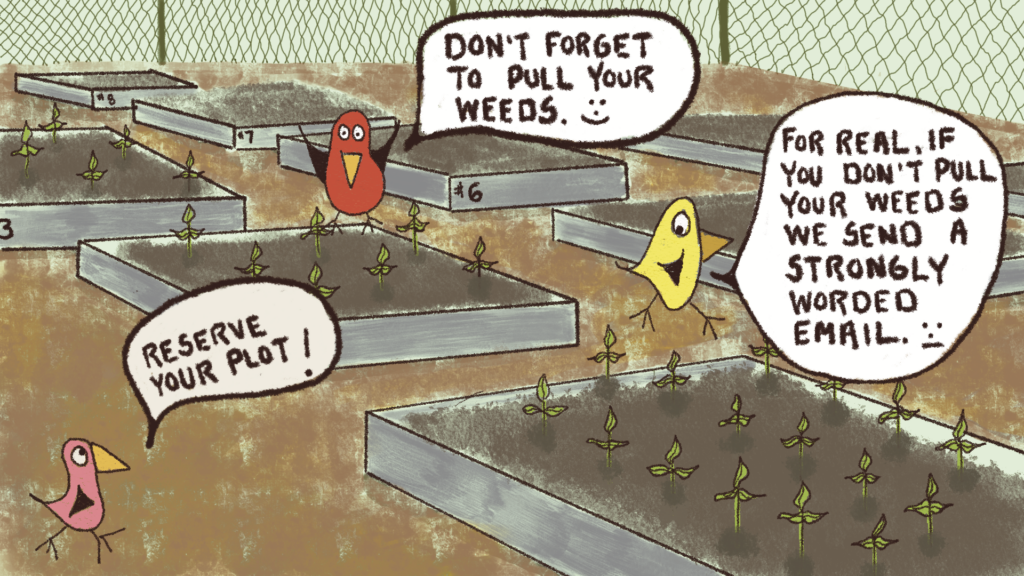 An illustration of community garden plots inside a gate, with cartoon birds hovering above newly planted beds.