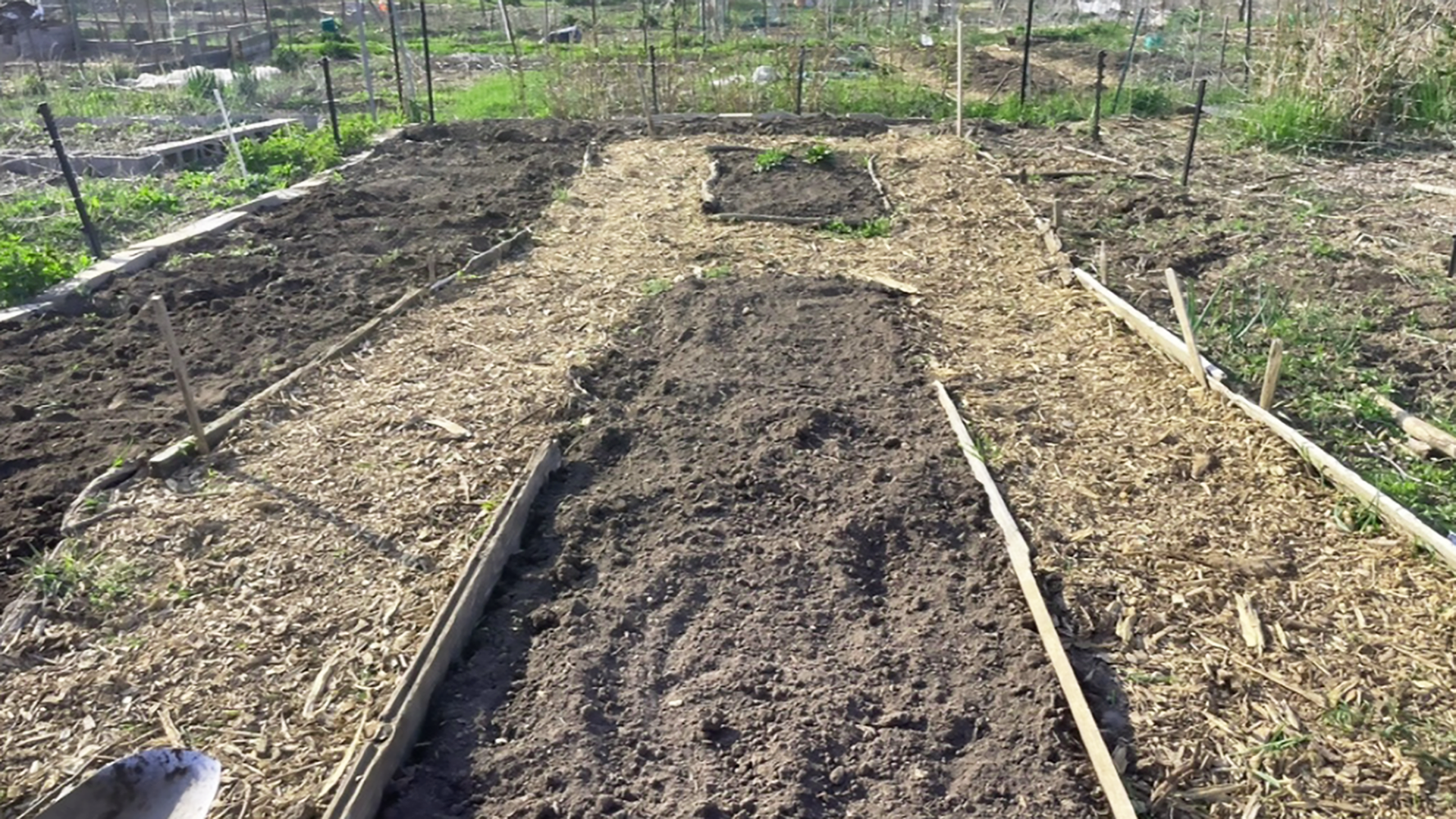 A series of garden beds with bare soil laid out in a community garden plot.