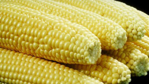 Aw, shucks! Five PBS recipes to enjoy sweet corn season