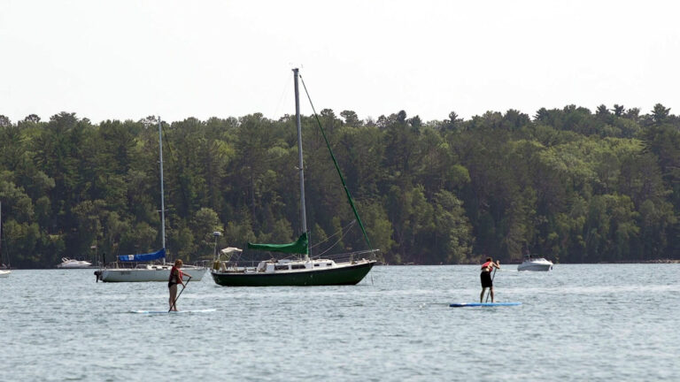 Two people on paddleboards traverse water with two sailboats, multiple power boats and a tree-lined shore in the background.