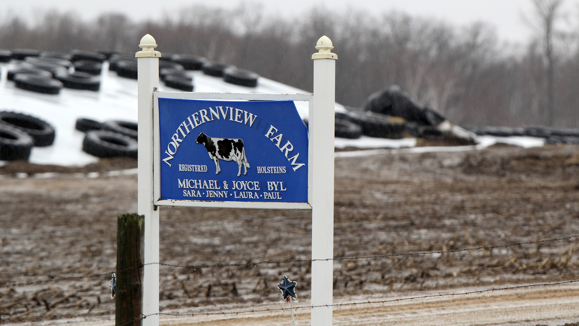 A sign with an illustration of a Holstein cows and the words "Northernview Farm," Registered Holsteins" and the names of the proprietors stands next to a barbed wire fence, with a farm field, a feed pile topped with agricultural plastic sheets and tires, and line of trees in the background.