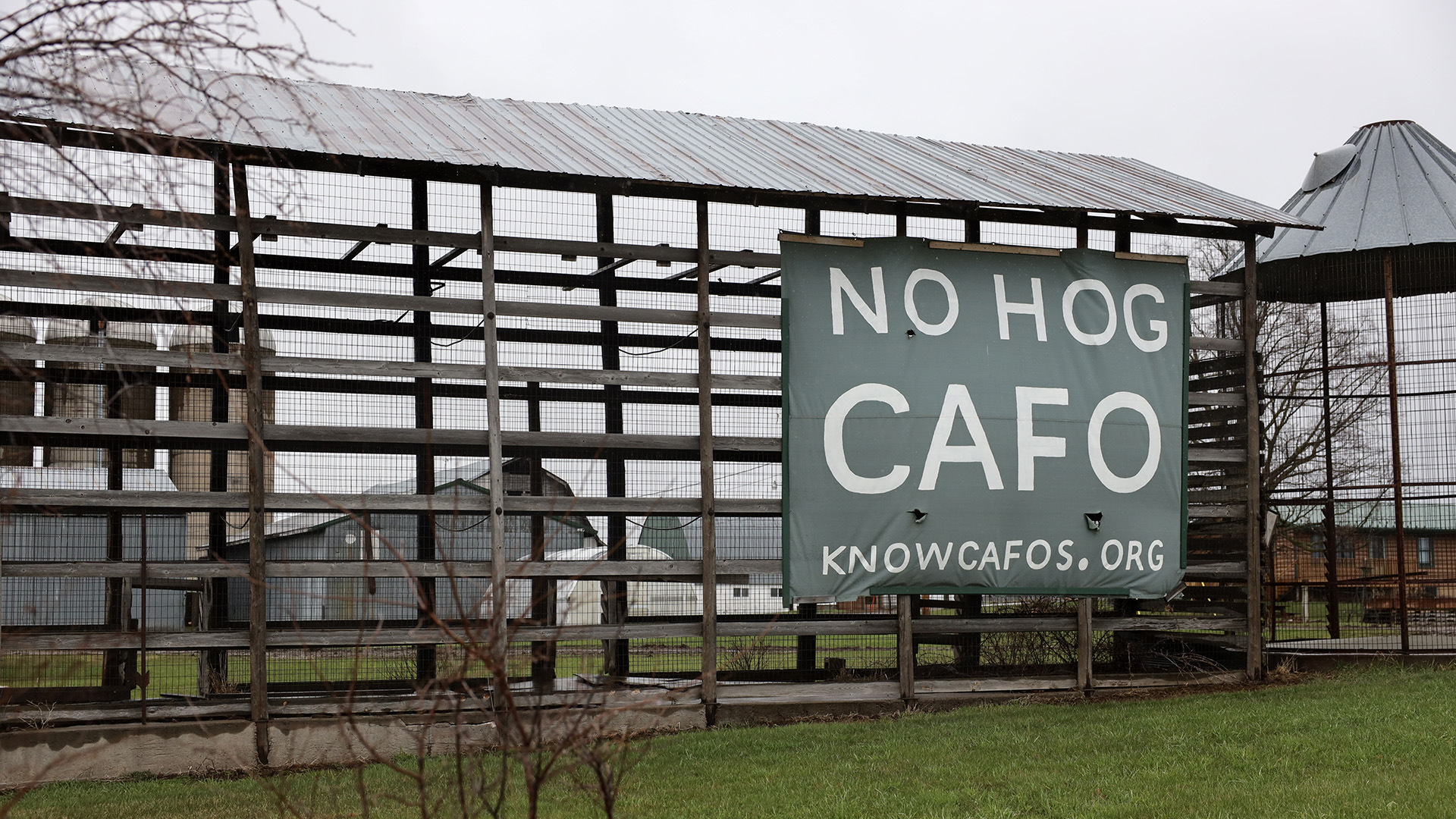 A large fabric sign with the words "No Hog CAFO" and URL "knowcafors.org" is attached to the side of an open-walled barn with wood framing and metal wire walls, standing next to a similarly constructed silo and with more farm buildings and silos in the background.