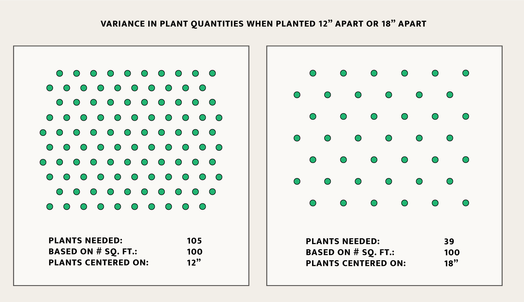 graphic diagram with icons showing comparing quantities of plants that can fit given various spacing needs