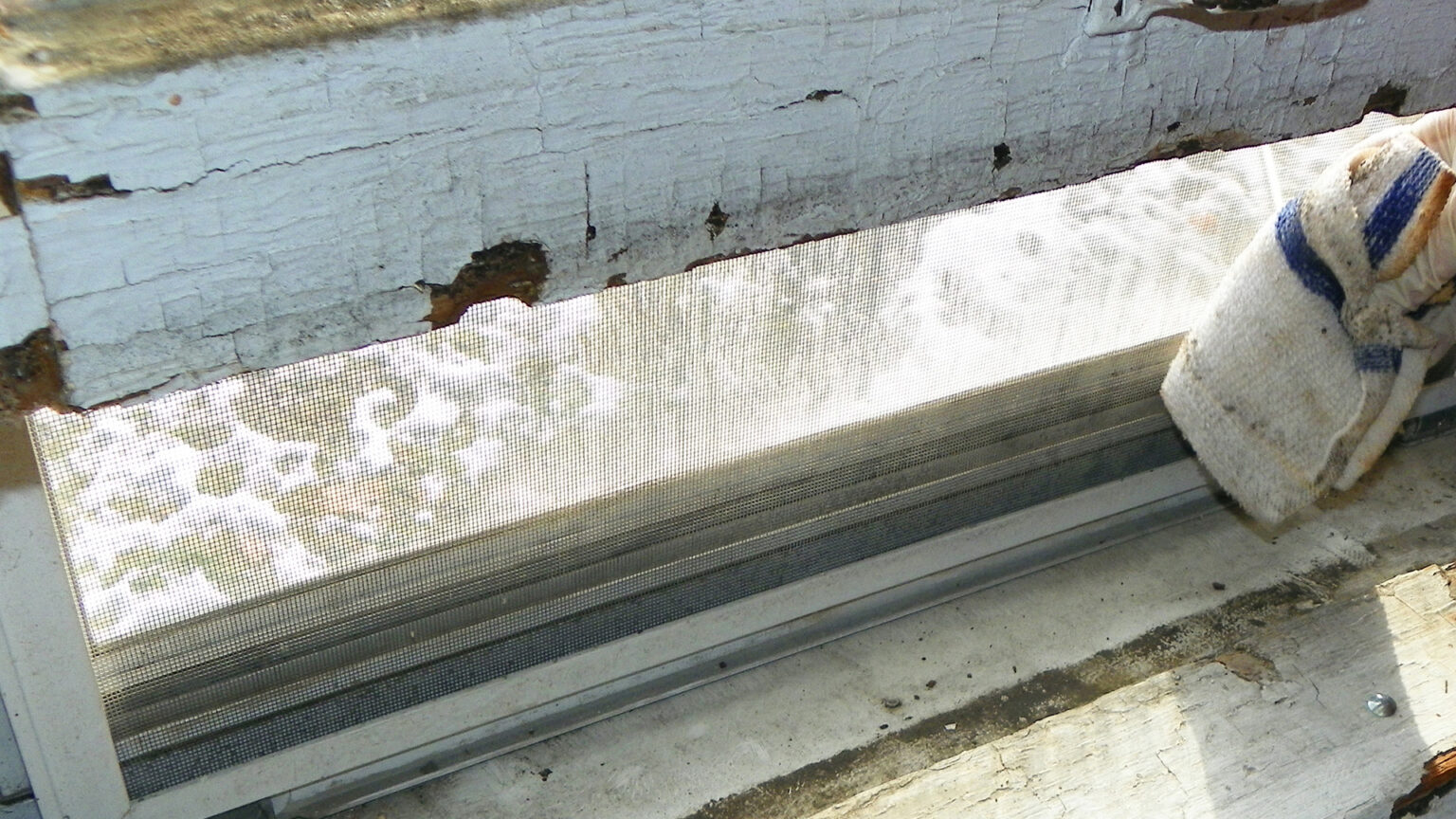 A gloved hand holding a rag wipes the interior of a storm window in a wood frame with chipped and peeling paint, with fragments sitting on the windowsill.