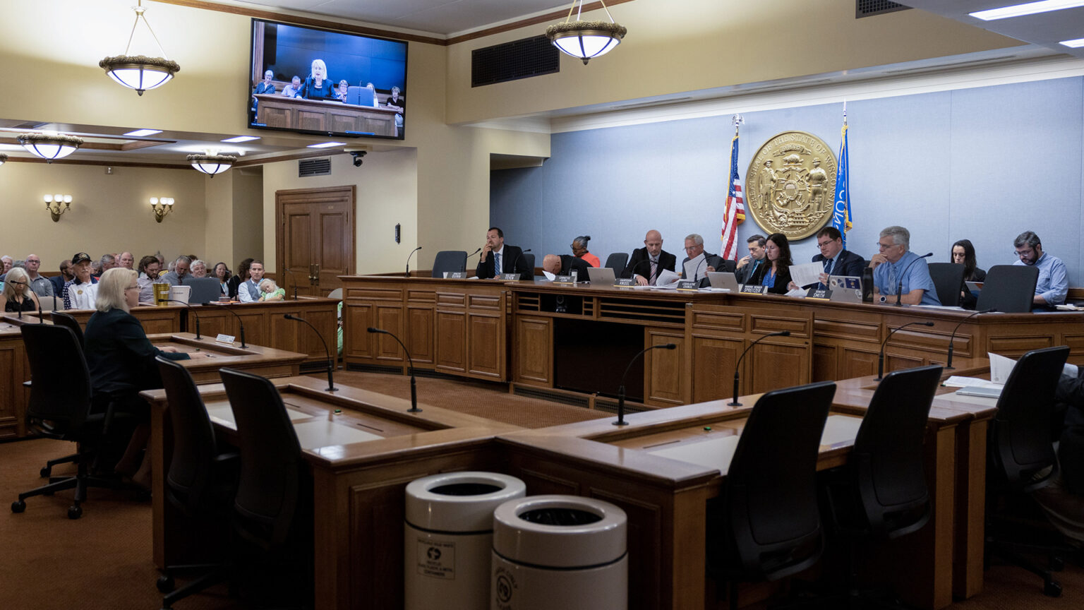 Ann Jacobs sits at a table in a meeting room and faces a wood legislative dais where seven other people are seated, with additional people seated behind them in front of a wall with the Great Seal of the State of Wisconsin and the U.S. and Wisconsin flags, in a room with other people sitting in an audience gallery to the side and a television screen mounted near the ceiling showing a view of Jacobs speaking.