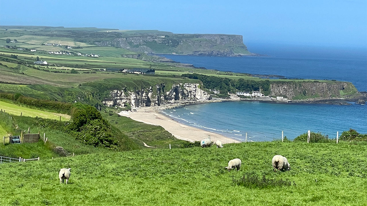 Lush green coastal landscape with grazing sheep in the foreground, a sandy beach with distinct rocky formations, and a village nestled between rolling hills overlooking the deep blue sea.