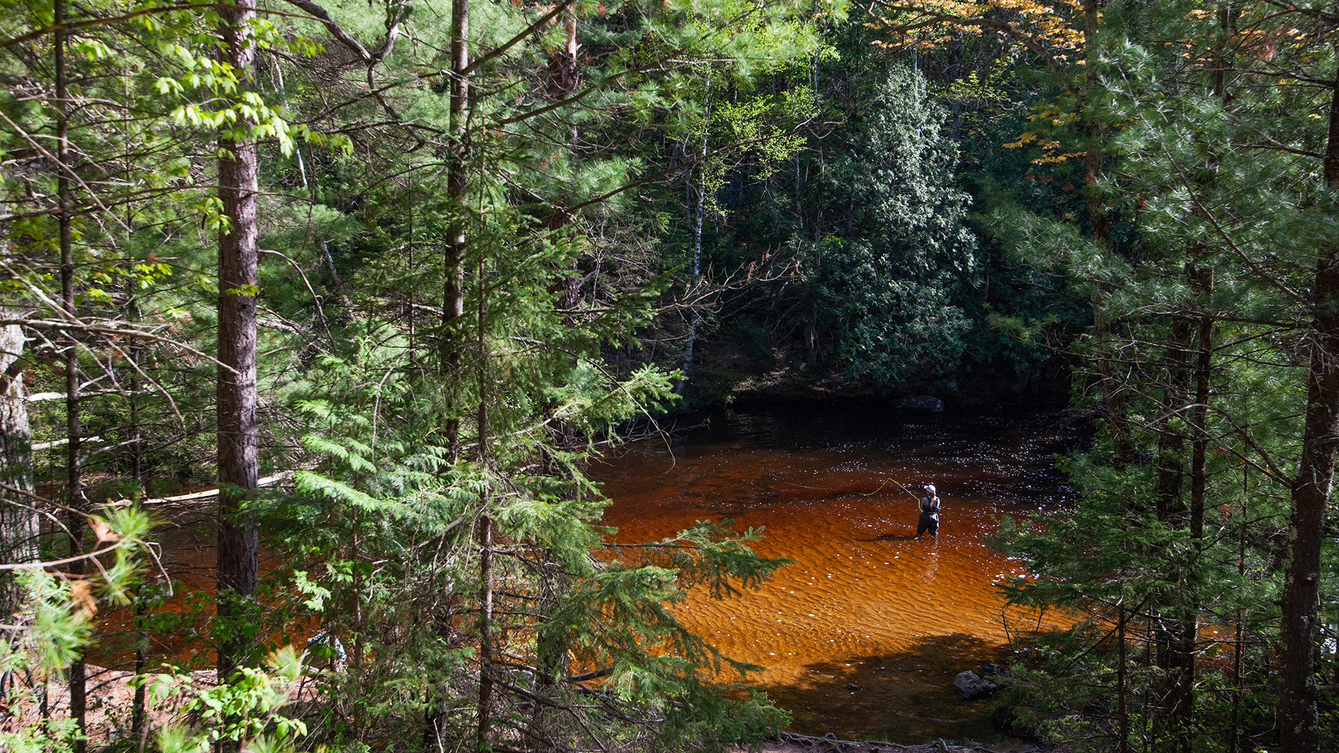 A woman fly fishing in a river.