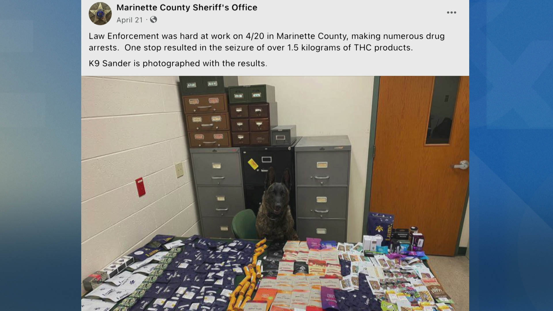 A screenshot of a Facebook posts shows the account name "Marinette County Sheriff's Office" and date of "April 21" above summary text related to a photo showing a dog standing behind a table filled with retail THC products in a room with file cabinets and a door with a window.