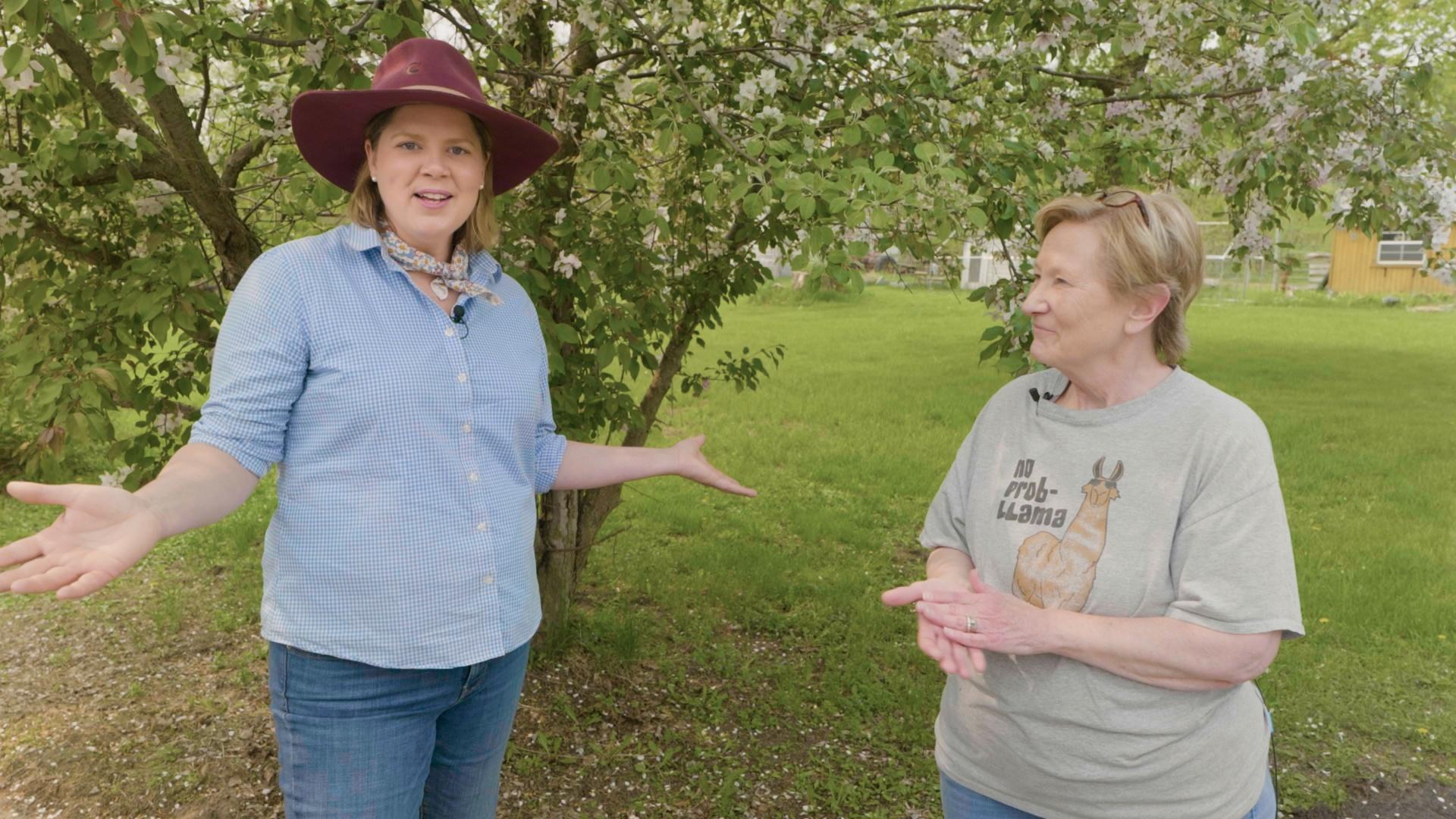 Two women standing outdoors, one in a blue checkered shirt and wide-brimmed hat gesturing with open arms, and the other in a gray t-shirt featuring a llama illustration, looking on with a smile. They are in a grassy area with a blossoming tree in the background, indicating a casual, springtime setting.