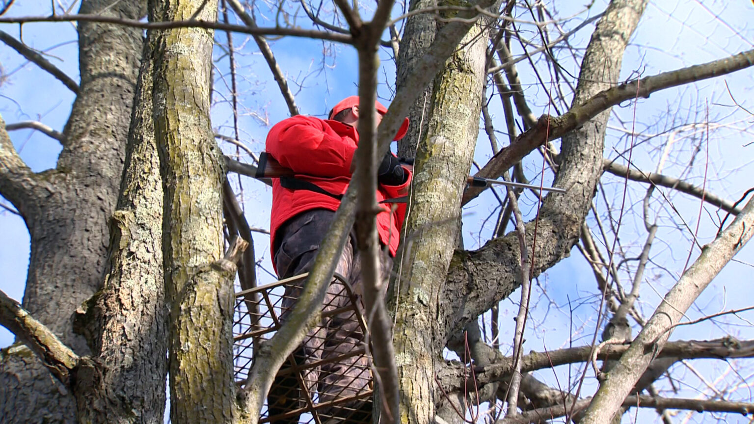 A deer hunter wearing a blaze-orange jacket holds a rifle while standing up in a tree stand, surrounded by branches under a mostly cloudy sky.