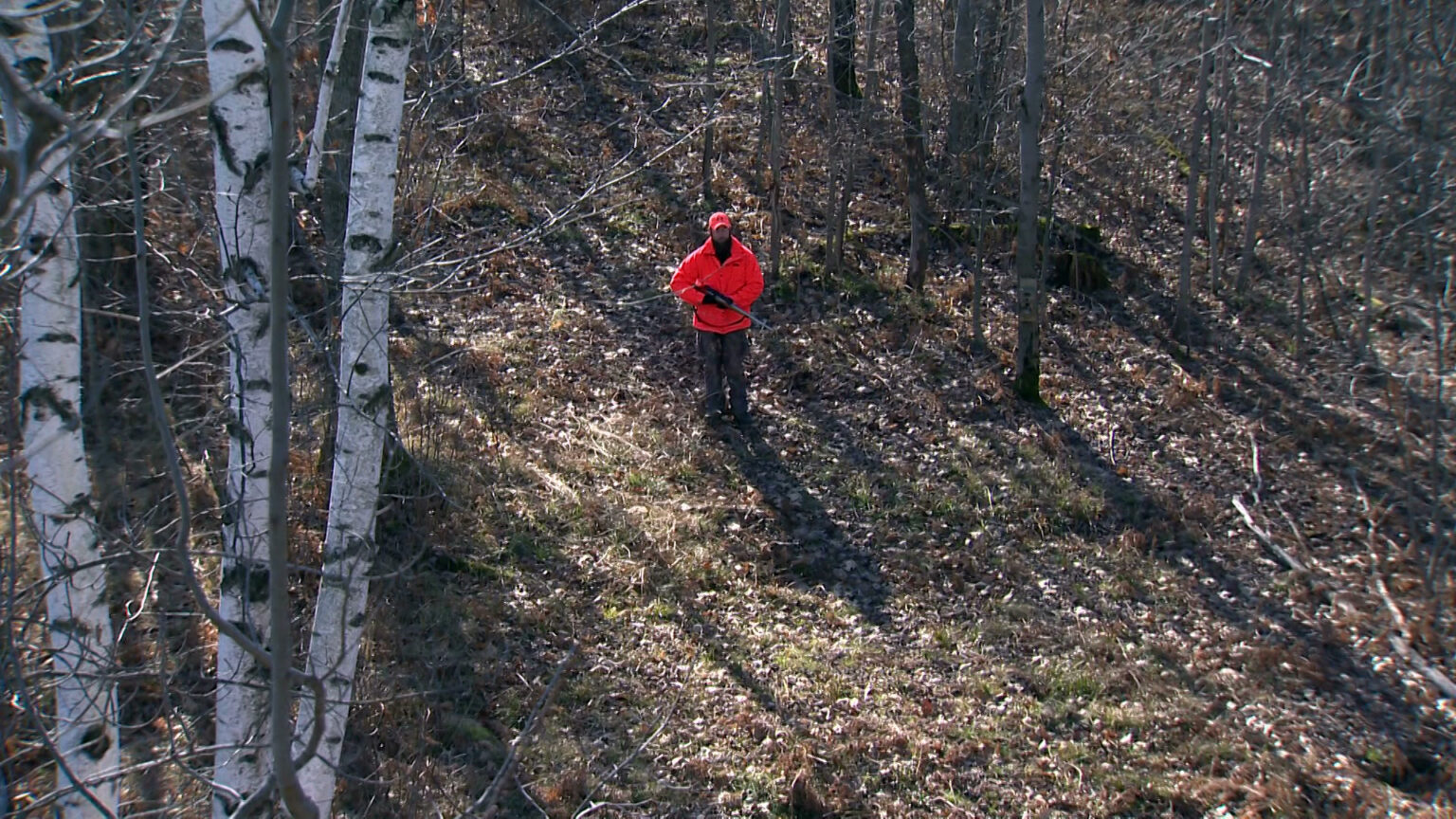 A deer hunter wearing a blaze-orange jacket and cap holds a rifle while standing on leaf-covered ground among different types of trees.