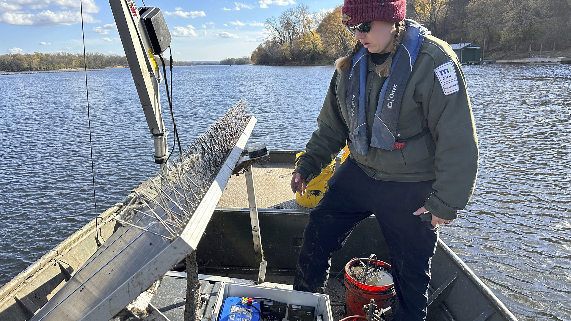 Tagged fish lead to historic week for Asian carp captures on Pool 6 of the  Mississippi - Outdoor News